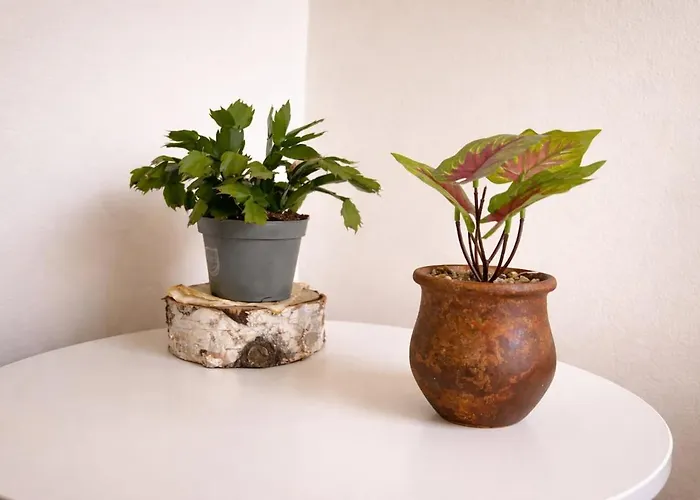 Laboheme Maggiore Retreat With Private * Dormelletto